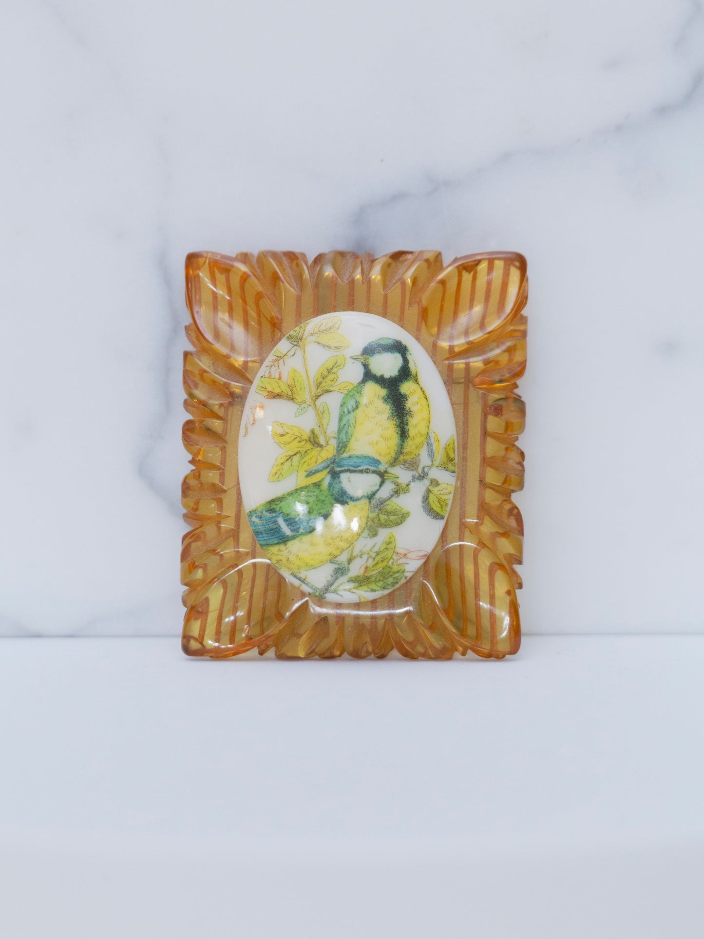 Bird Brooch | Celluloid