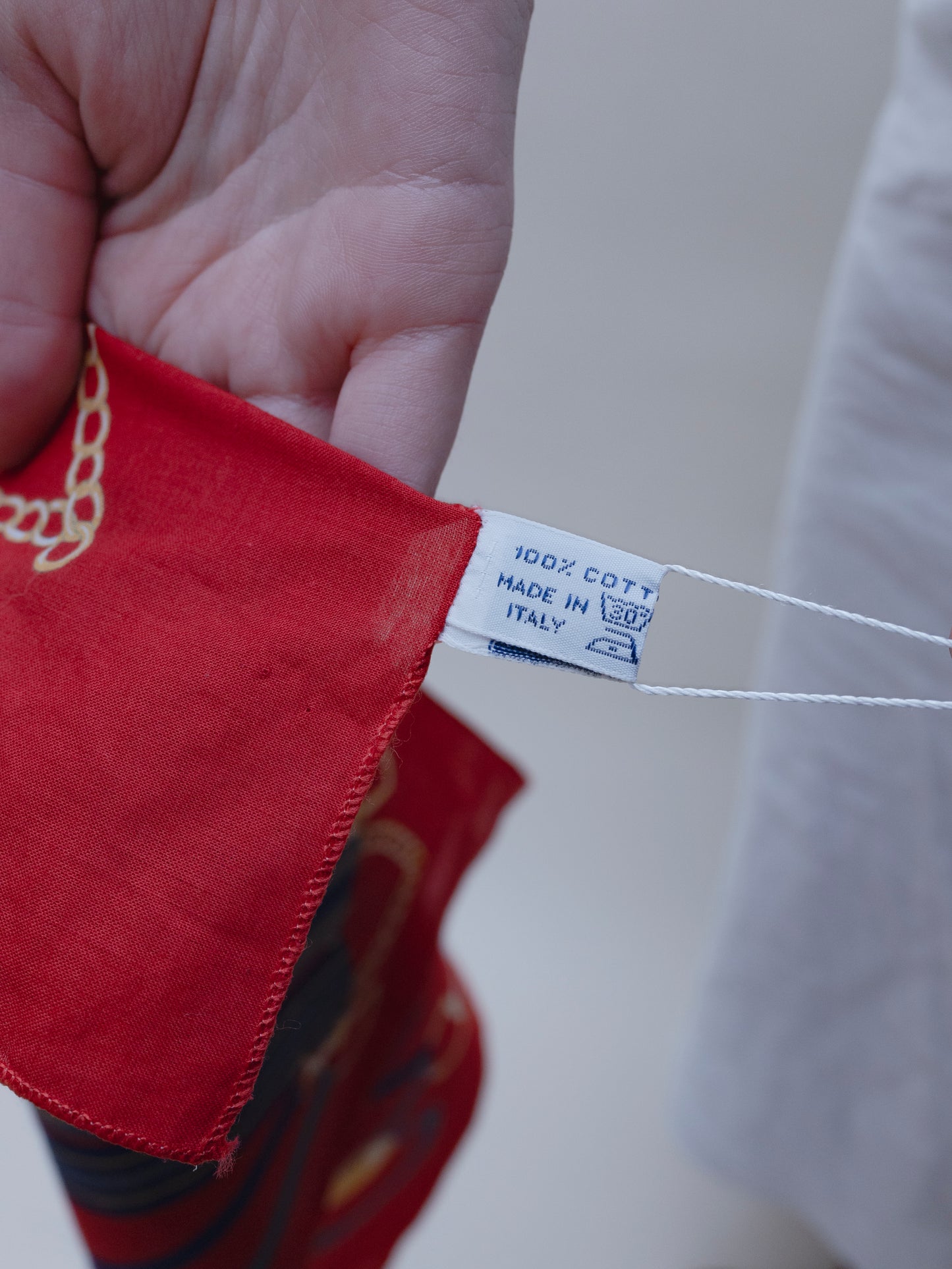 Longchamp Harness Scarf | Pocket Scarf