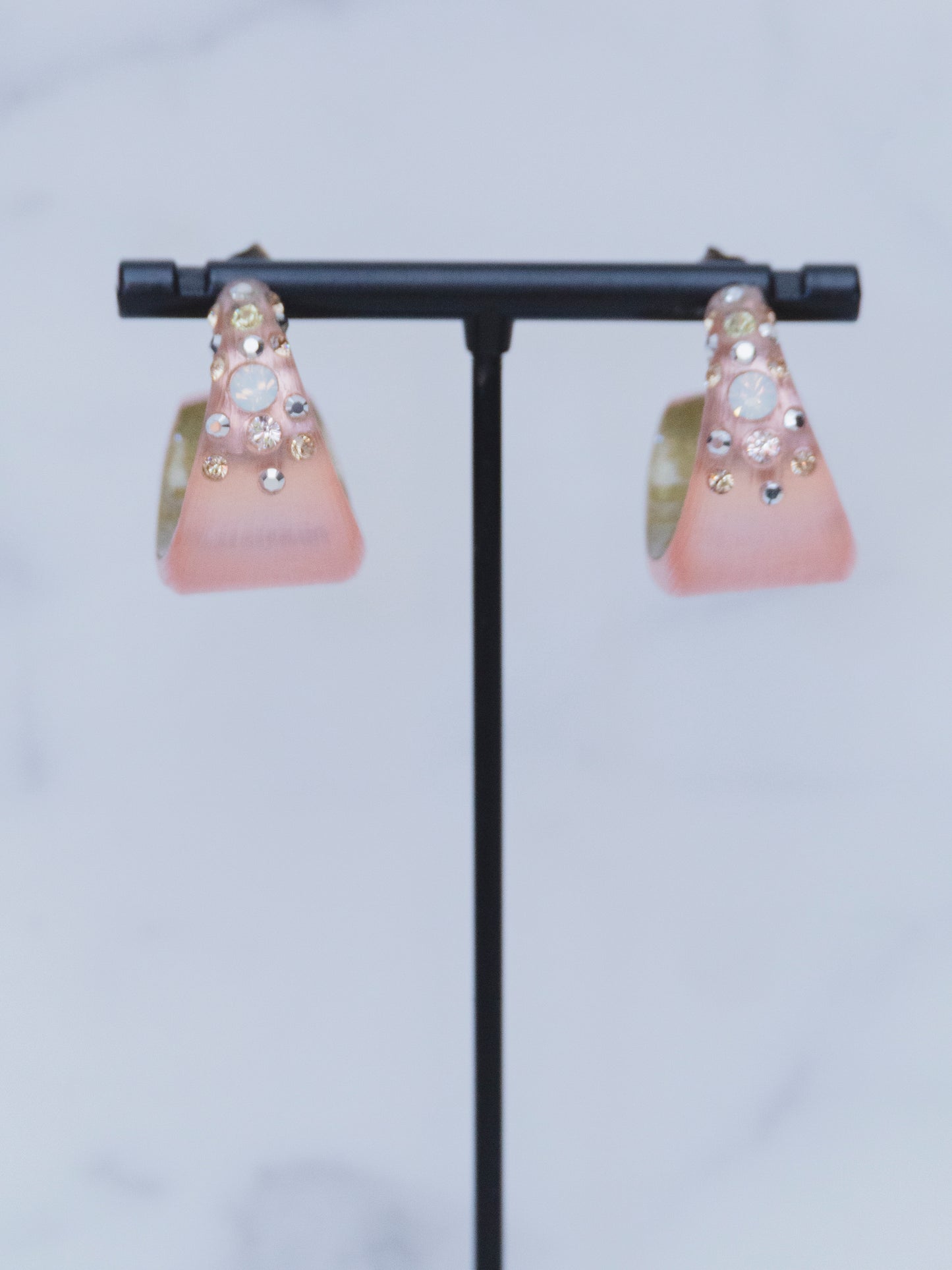 Alexis Bittar Chunky Pink Hoops | Earrings