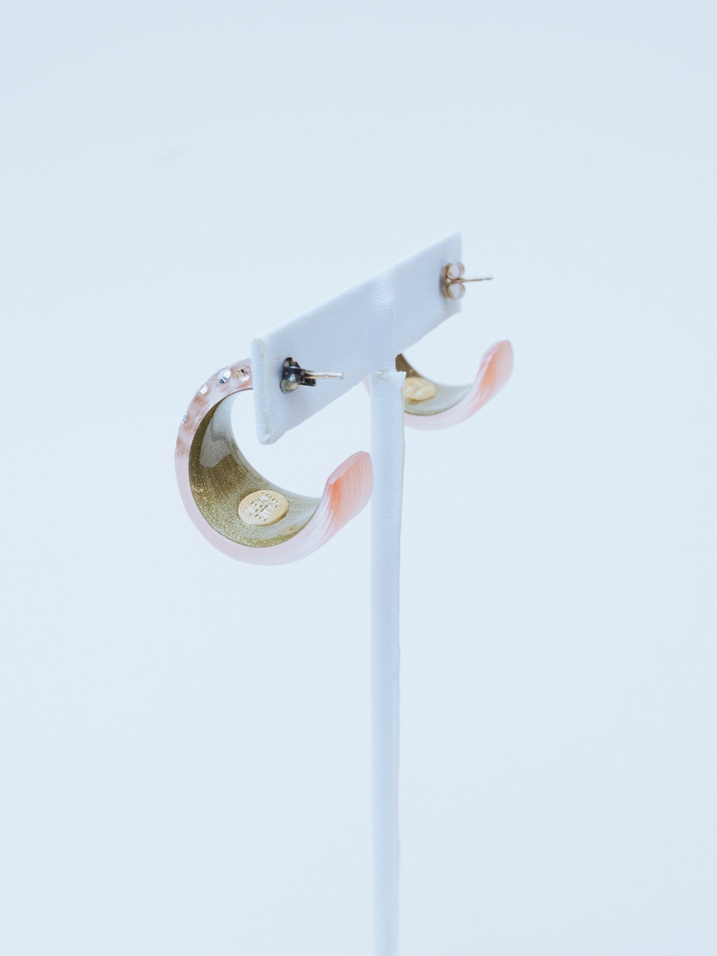 Alexis Bittar Chunky Pink Hoops | Earrings