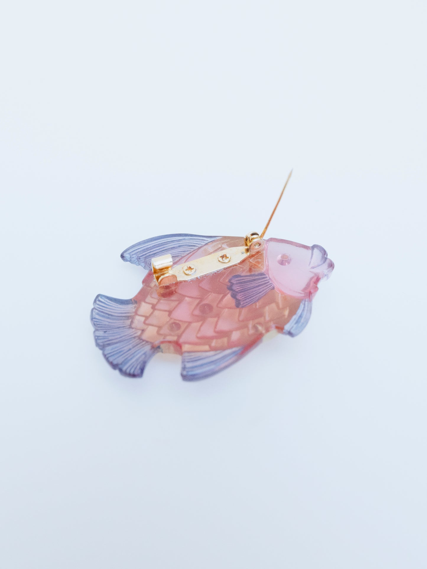 Rainbow Fish | Set