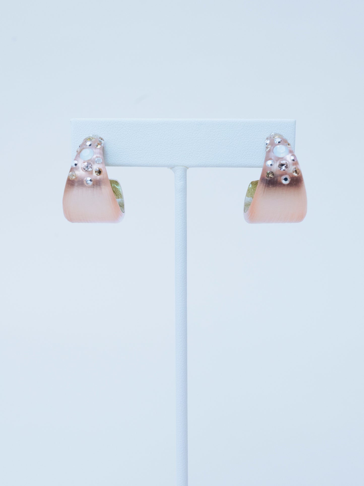 Alexis Bittar Chunky Pink Hoops | Earrings